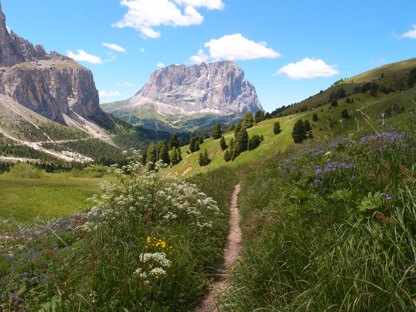 Scenic Path